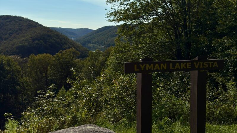 Losey Vista - Ulysses, PA