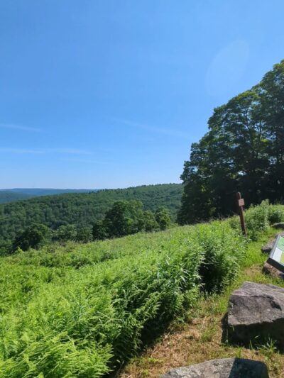 Losey Vista - Ulysses, PA