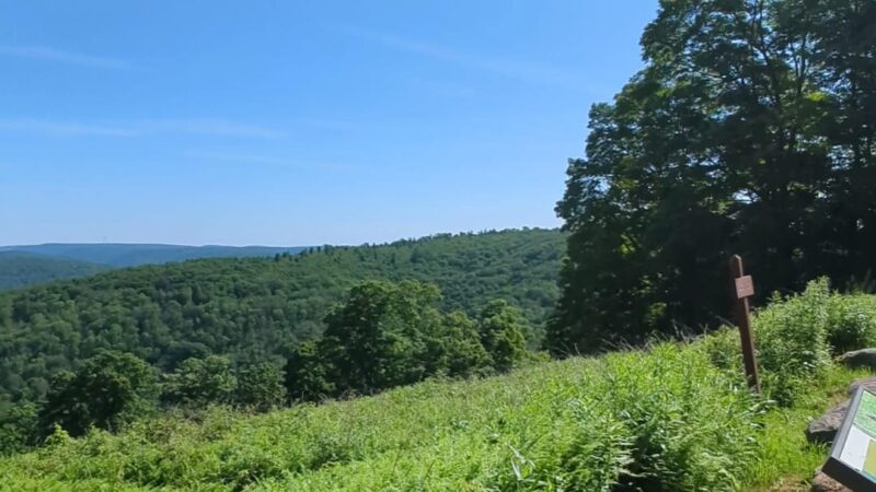 Losey Vista - Ulysses, PA