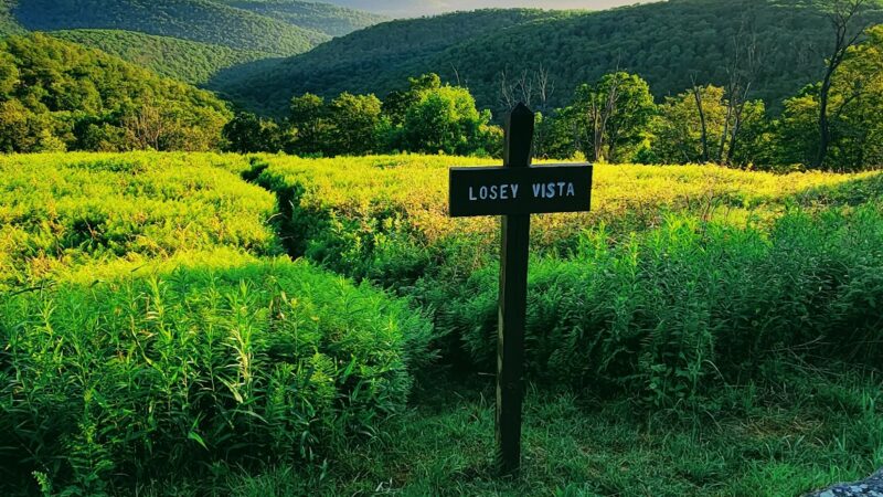 Losey Vista - Ulysses, PA
