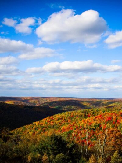 Losey Vista - Ulysses, PA