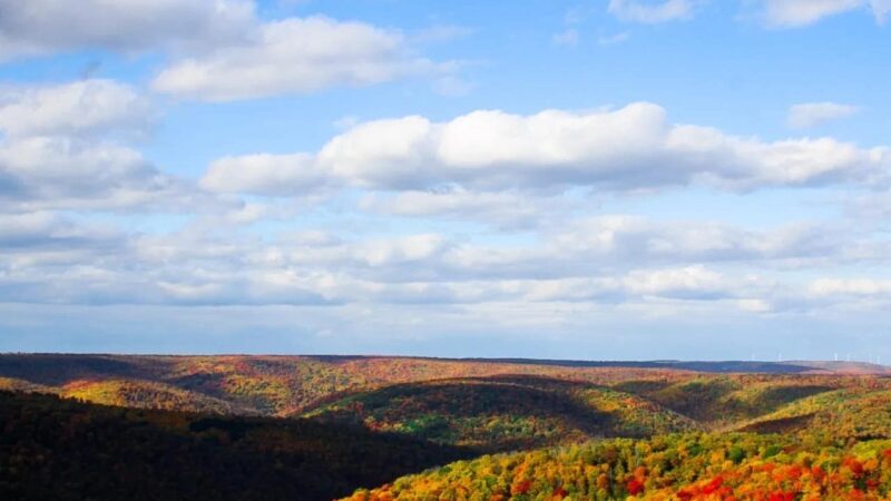 Losey Vista - Ulysses, PA