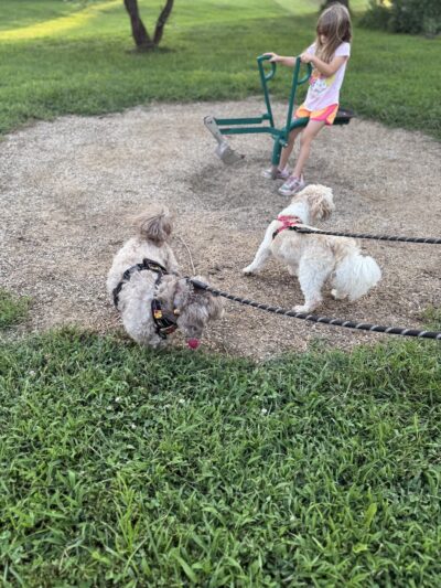 Trailhead Park - Underwood, IA