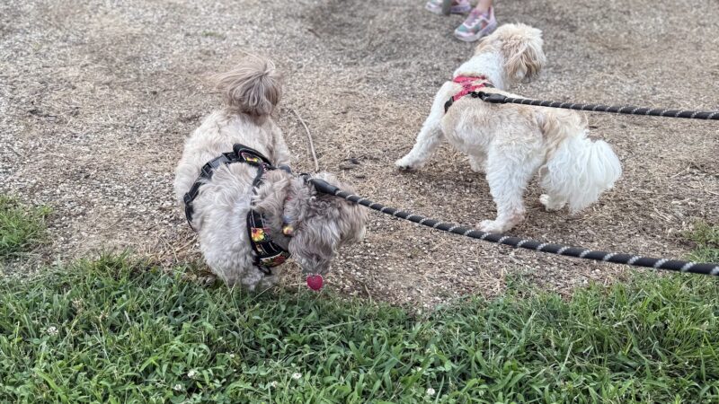 Trailhead Park - Underwood, IA