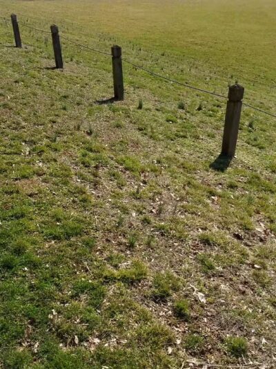 Bark Hill Park - Union Bridge, MD