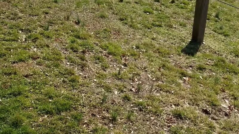 Bark Hill Park - Union Bridge, MD