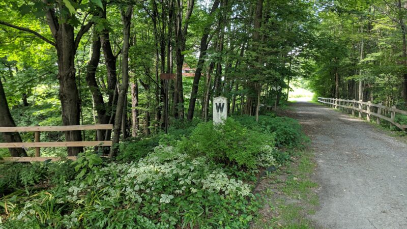 D&H Rail-Trail, Union Dale Trailhead - Union Dale, PA