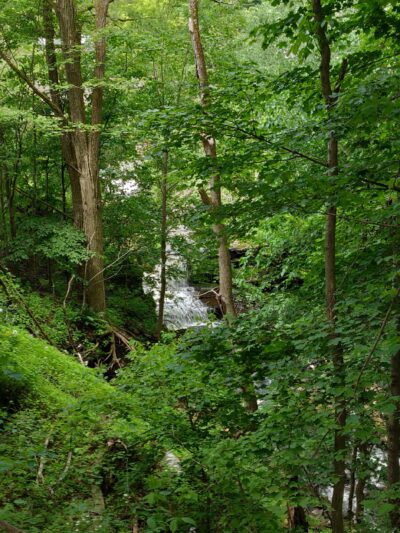 D&H Rail-Trail, Union Dale Trailhead - Union Dale, PA