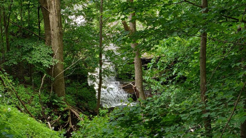 D&H Rail-Trail, Union Dale Trailhead - Union Dale, PA