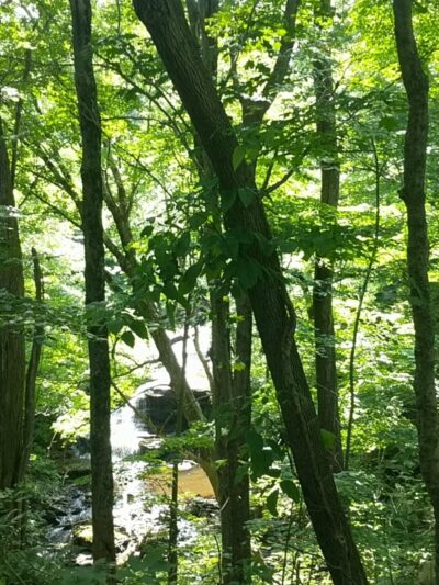 D&H Rail-Trail, Union Dale Trailhead - Union Dale, PA