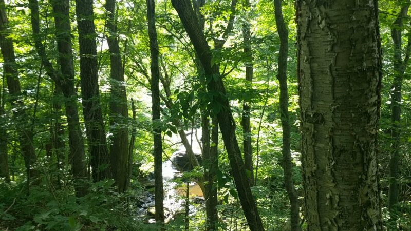 D&H Rail-Trail, Union Dale Trailhead - Union Dale, PA