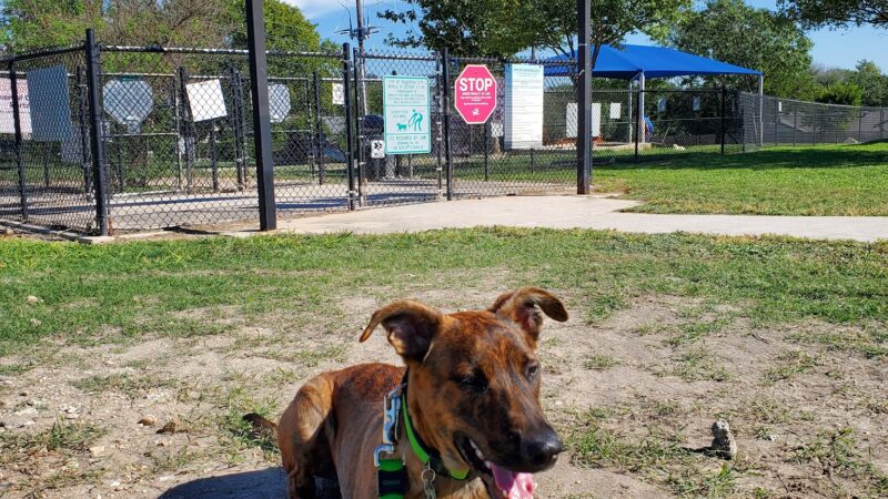 Aina Blake Dog Park - Universal City, TX