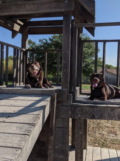 Aina Blake Dog Park - Universal City, TX