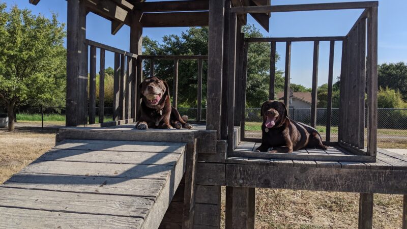 Aina Blake Dog Park - Universal City, TX