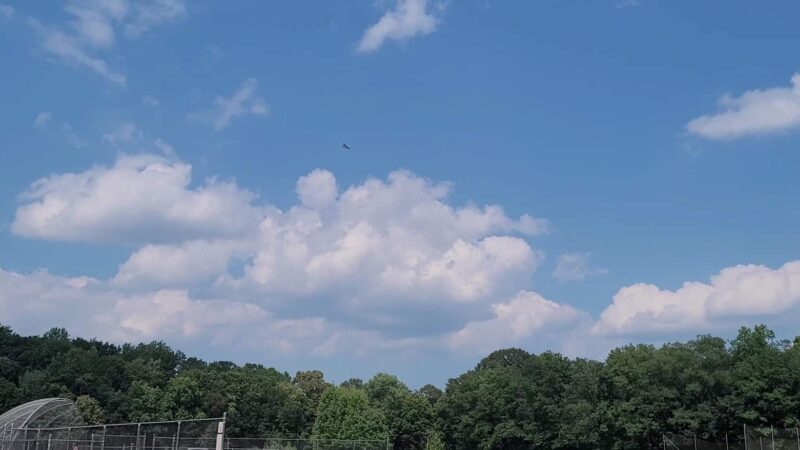 Lions Park - Upper Saddle River, NJ