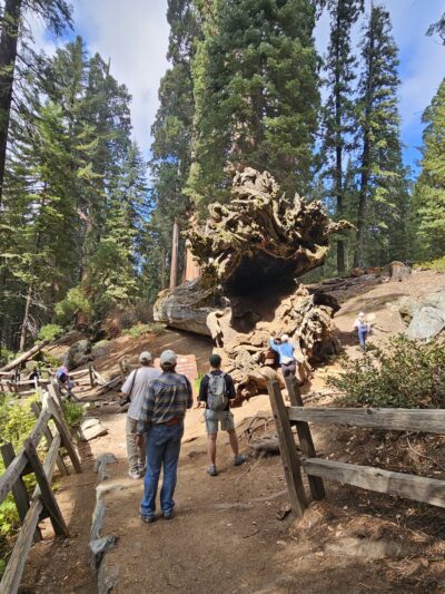 Sequoia & Kings Canyon National Parks - US, CA