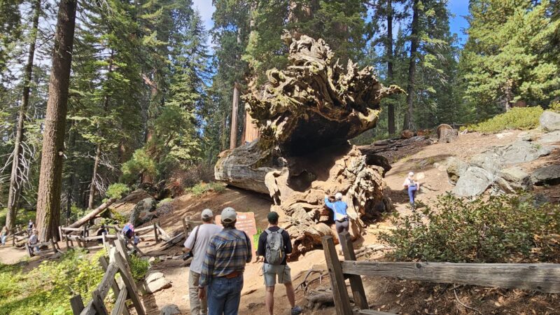 Sequoia & Kings Canyon National Parks - US, CA