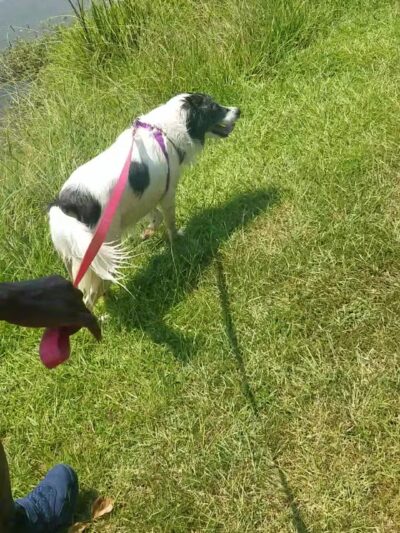 Lovejoy Regional Park - US, GA