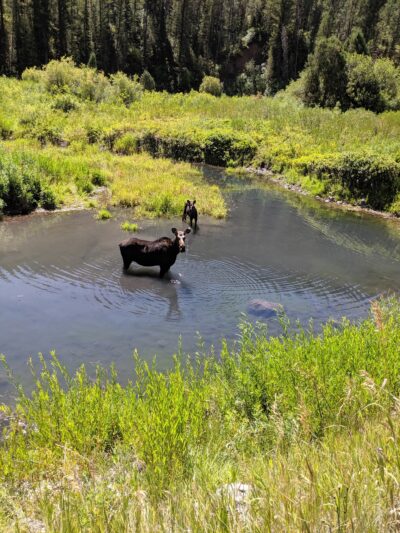 Bear Creek Hot Springs Trailhead - US, ID