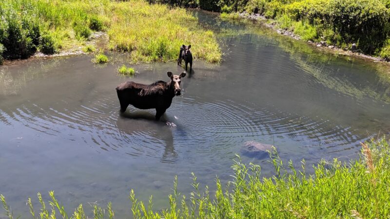 Bear Creek Hot Springs Trailhead - US, ID