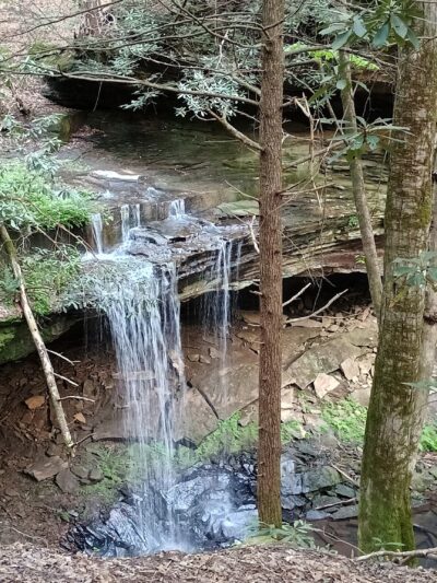 Dog Branch Falls - US, KY