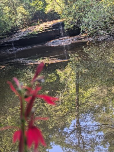 Dog Branch Falls - US, KY