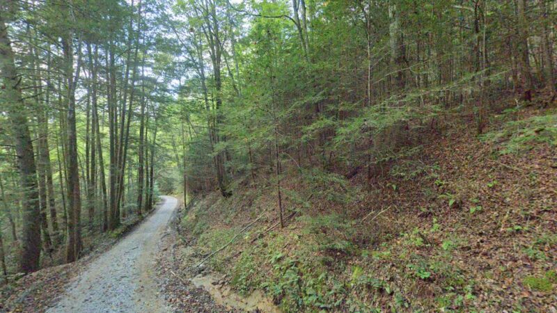Dog Branch Falls - US, KY