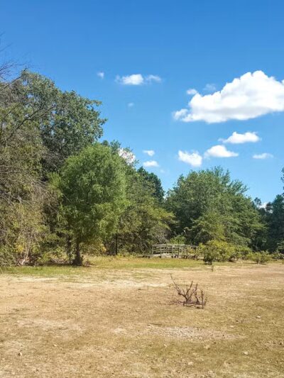 Cooper Lake State Park - US, TX