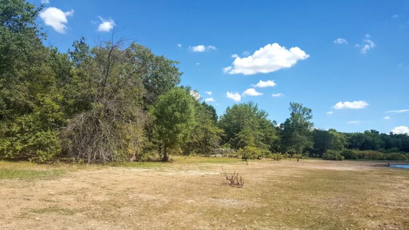 Cooper Lake State Park - US, TX