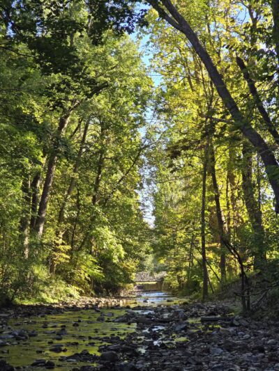 F T Proctor Park - Utica, NY