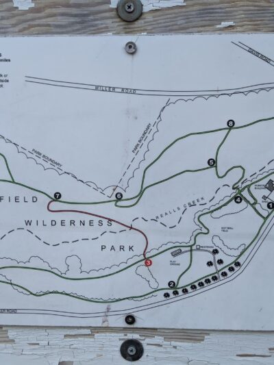 Wilderness Park - Utica, NY