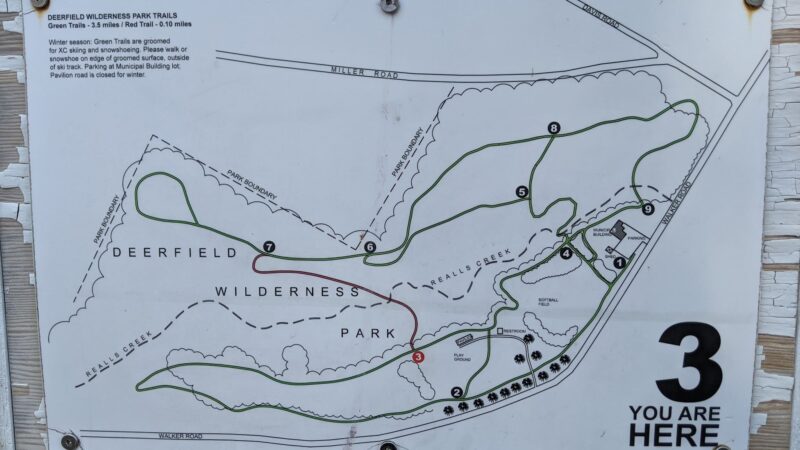 Wilderness Park - Utica, NY