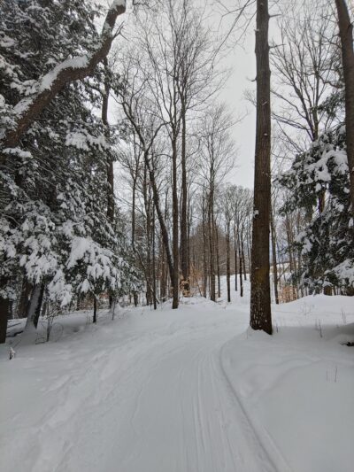 Wilderness Park - Utica, NY