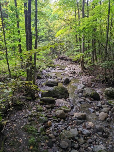 Wilderness Park - Utica, NY