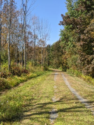 Wilderness Park - Utica, NY