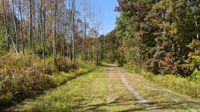 Wilderness Park - Utica, NY