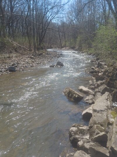 TR Proctor Park - Utica, NY