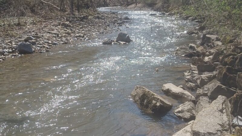 TR Proctor Park - Utica, NY