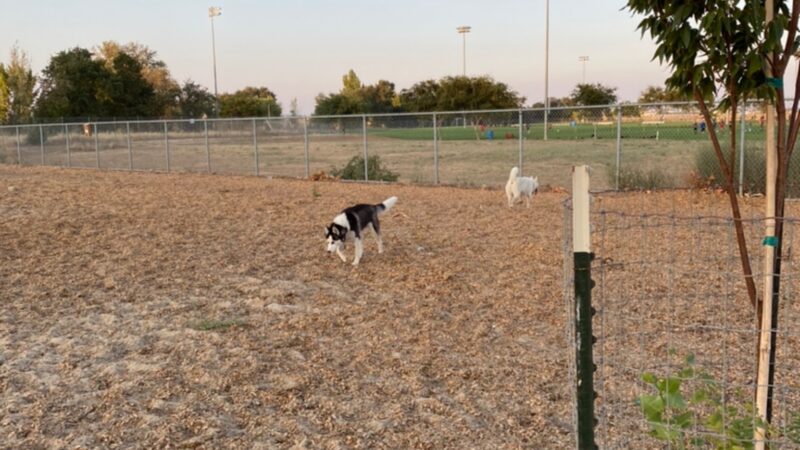 Centennial Dog Park - Vacaville, CA