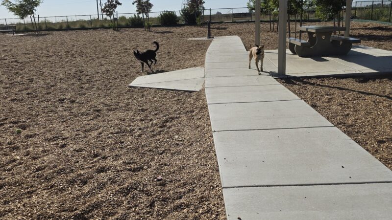 Owl Park Off-Leash Facility - Vacaville, CA