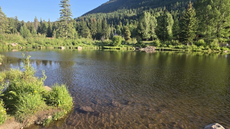 Bighorn Park - Vail, CO