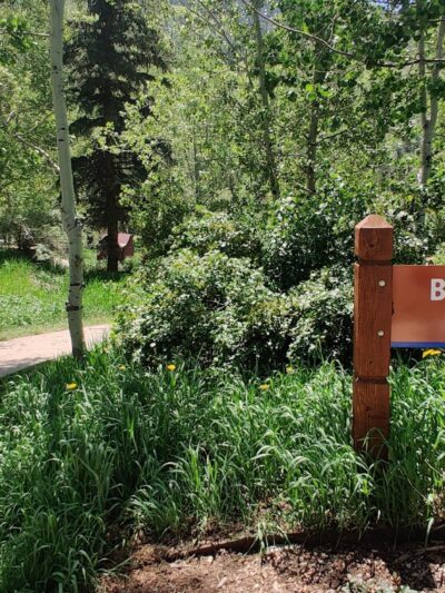 Buffehr Creek Park - Vail, CO