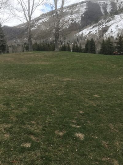 Buffehr Creek Park - Vail, CO