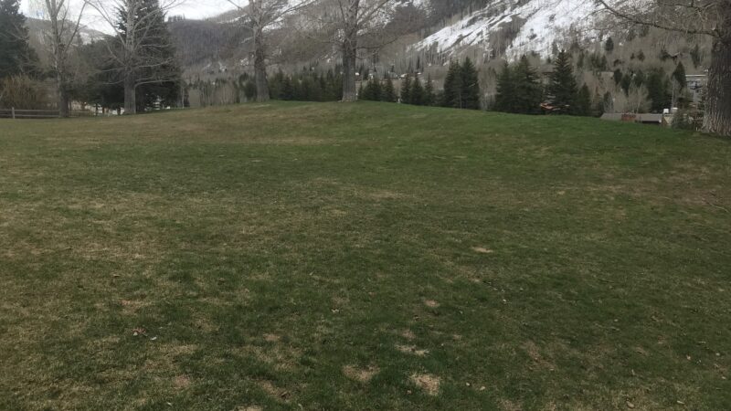 Buffehr Creek Park - Vail, CO