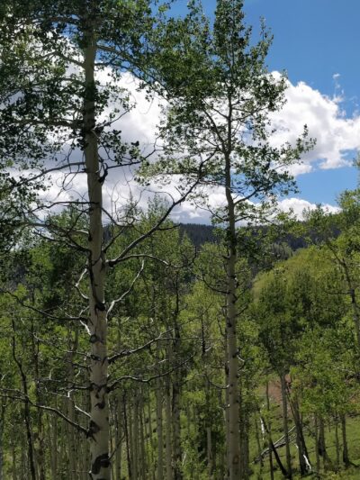 Red Sandstone Park - Vail, CO