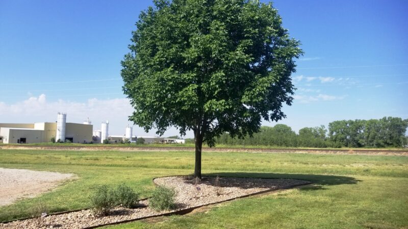 Veteran's Park - Valley Center, KS