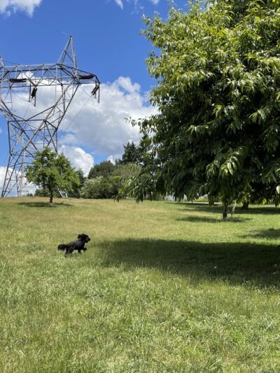 Ike Memorial Park - Vancouver, WA