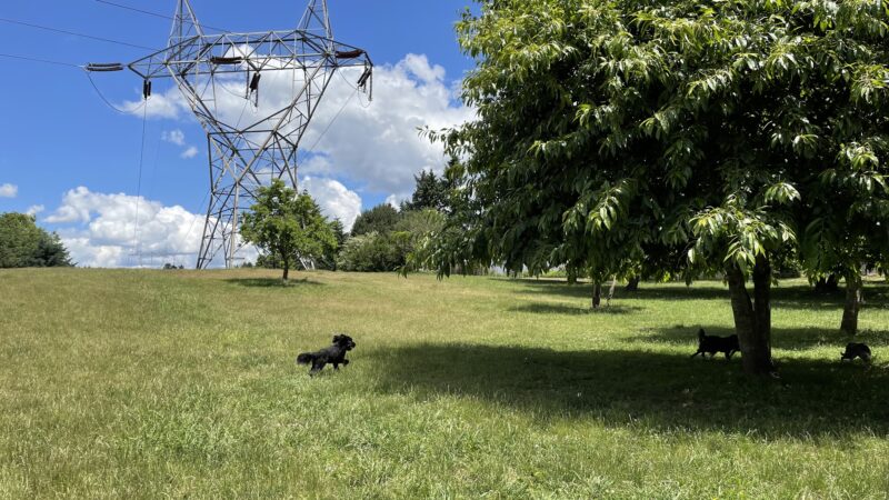 Ike Memorial Park - Vancouver, WA