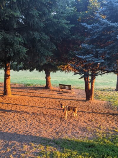 Ike Memorial Park - Vancouver, WA