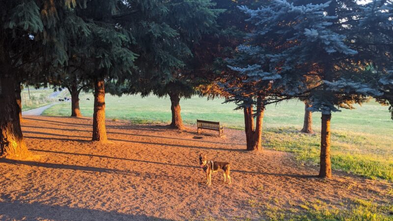 Ike Memorial Park - Vancouver, WA